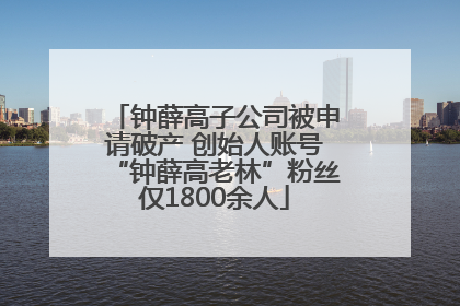 钟薛高子公司被申请破产 创始人账号“钟薛高老林”粉丝仅1800余人