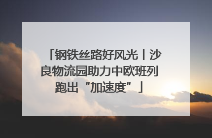 钢铁丝路好风光丨沙良物流园助力中欧班列跑出“加速度”