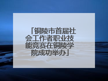 铜陵市首届社会工作者职业技能竞赛在铜陵学院成功举办