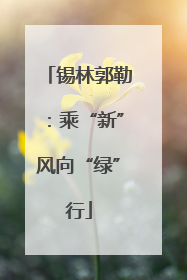 锡林郭勒：乘“新”风向“绿”行