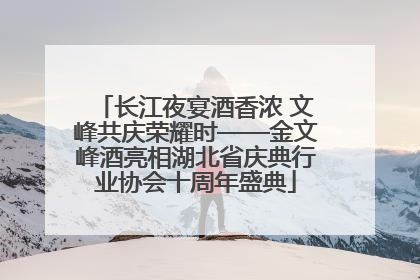 长江夜宴酒香浓 文峰共庆荣耀时——金文峰酒亮相湖北省庆典行业协会十周年盛典