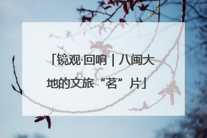 镜观·回响｜八闽大地的文旅“茗”片