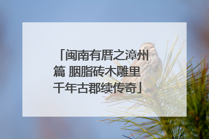 闽南有厝之漳州篇 胭脂砖木雕里千年古郡续传奇