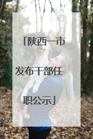 陕西一市发布干部任职公示