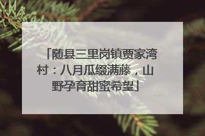 随县三里岗镇贾家湾村：八月瓜缀满藤，山野孕育甜蜜希望