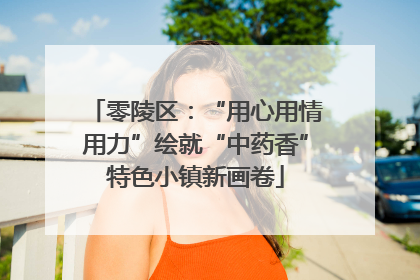 零陵区：“用心用情用力”绘就“中药香”特色小镇新画卷