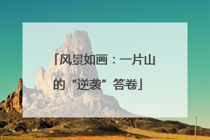 风景如画：一片山的“逆袭”答卷
