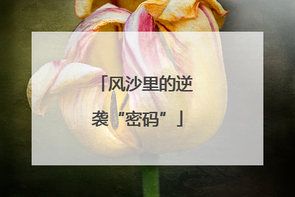 风沙里的逆袭“密码”