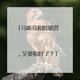 马斯克和特朗普，又要和好了？