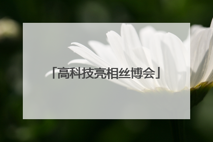 高科技亮相丝博会