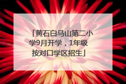 黄石白马山第二小学9月开学，1年级按对口学区招生