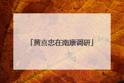 黄喜忠在南康调研