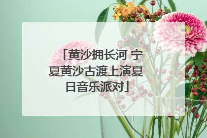 黄沙拥长河 宁夏黄沙古渡上演夏日音乐派对