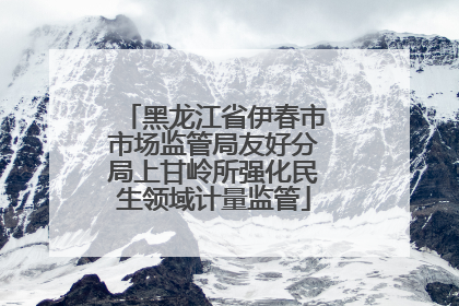 黑龙江省伊春市市场监管局友好分局上甘岭所强化民生领域计量监管