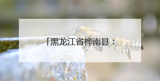 黑龙江省桦南县：“三色”匠心织锦绣 绘就治理新画卷