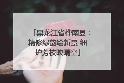 黑龙江省桦南县：精修绿韵绘新景 细护芳枝映晴空