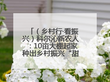 （乡村行·看振兴）科尔沁新农人：10亩大棚起家种出乡村振兴“甜蜜果”
