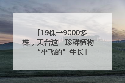 19株→9000多株，天台这一珍稀植物“坐飞的”生长