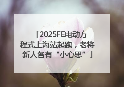 2025FE电动方程式上海站起跑，老将新人各有“小心思”