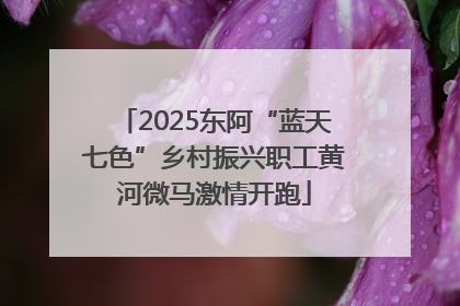 2025东阿“蓝天七色”乡村振兴职工黄河微马激情开跑