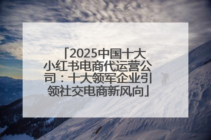 2025中国十大小红书电商代运营公司：十大领军企业引领社交电商新风向
