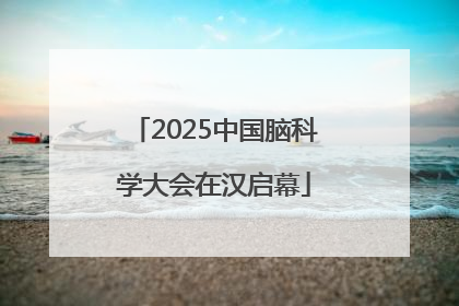 2025中国脑科学大会在汉启幕