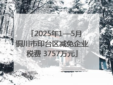 2025年1—5月铜川市印台区减免企业税费 3757万元