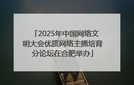 2025年中国网络文明大会优质网络主播培育分论坛在合肥举办