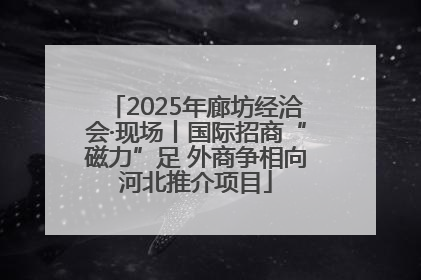 2025年廊坊经洽会·现场丨国际招商“磁力”足 外商争相向河北推介项目