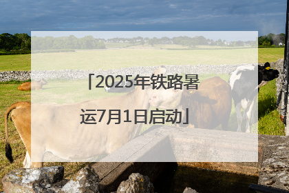 2025年铁路暑运7月1日启动