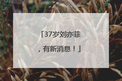 37岁刘亦菲，有新消息！