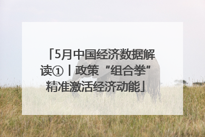 5月中国经济数据解读①丨政策“组合拳”精准激活经济动能