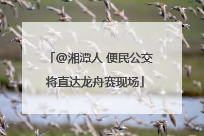 @湘潭人 便民公交将直达龙舟赛现场