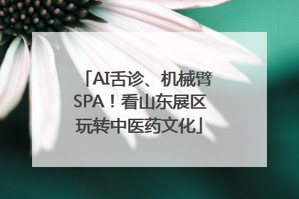 AI舌诊、机械臂SPA！看山东展区玩转中医药文化