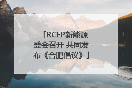 RCEP新能源盛会召开 共同发布《合肥倡议》